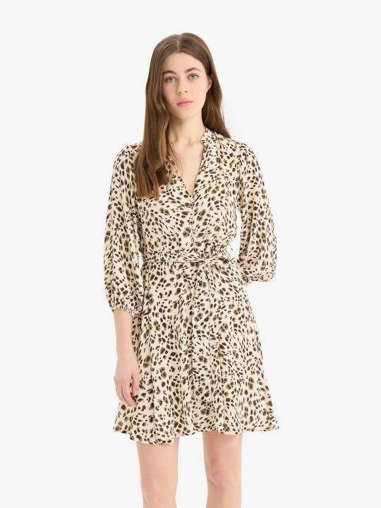 Leopard Print Flared Dress