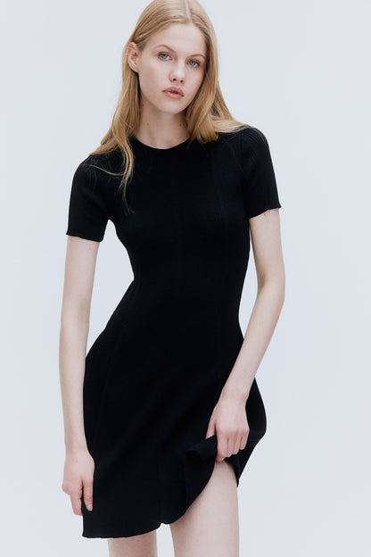 Rib Knit Flared Dress